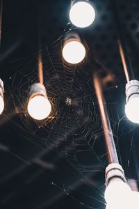 Preview wallpaper light bulbs, cobweb, spider, light, lighting