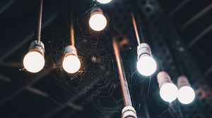 Preview wallpaper light bulbs, cobweb, spider, light, lighting