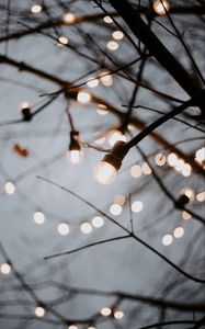 Preview wallpaper light bulbs, garlands, branches, light, decoration