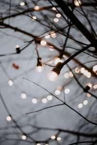 Preview wallpaper light bulbs, garlands, branches, light, decoration