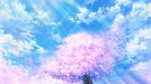 Preview wallpaper light, cherry, tree, sky, bright