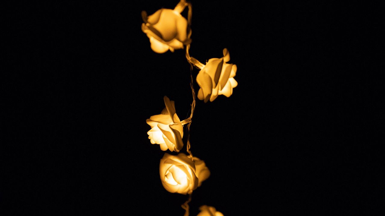 Wallpaper light, lighting, roses, lamps, blur