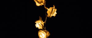 Preview wallpaper light, lighting, roses, lamps, blur