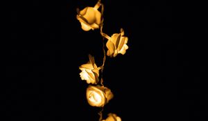 Preview wallpaper light, lighting, roses, lamps, blur