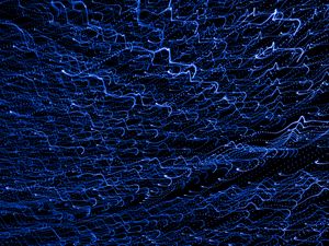 Preview wallpaper light, lines, freezelight, long exposure, abstraction, blue, dark