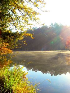 Preview wallpaper light, sun, modulations, lake, wood, autumn, paints, colors, bright