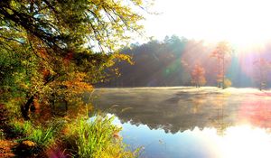 Preview wallpaper light, sun, modulations, lake, wood, autumn, paints, colors, bright