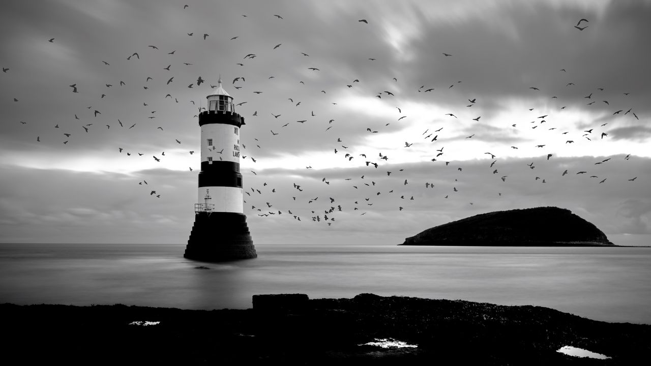 Wallpaper lighthouse, birds, sea, black and white