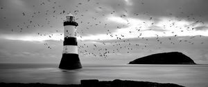 Preview wallpaper lighthouse, birds, sea, black and white