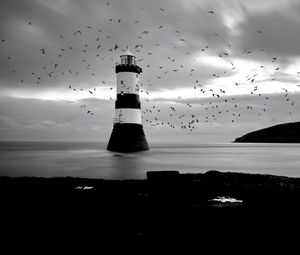 Preview wallpaper lighthouse, birds, sea, black and white