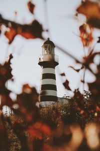 Preview wallpaper lighthouse, building, architecture, bushes, leaves