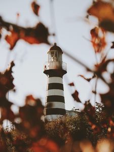 Preview wallpaper lighthouse, building, architecture, bushes, leaves