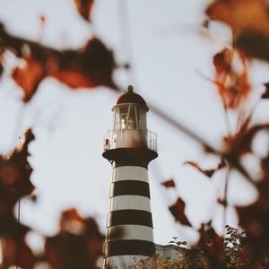 Preview wallpaper lighthouse, building, architecture, bushes, leaves