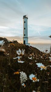 Preview wallpaper lighthouse, building, coast, flowers, grass