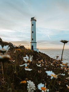Preview wallpaper lighthouse, building, coast, flowers, grass
