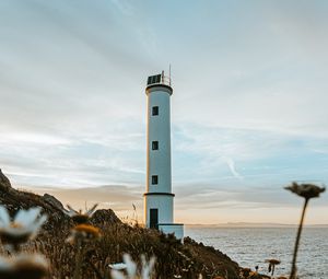 Preview wallpaper lighthouse, building, coast, flowers, grass