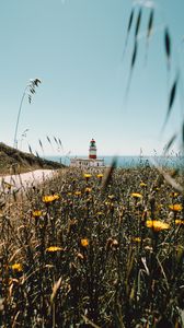 Preview wallpaper lighthouse, building, flowers, wildflowers