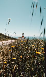 Preview wallpaper lighthouse, building, flowers, wildflowers