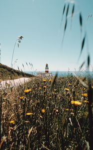 Preview wallpaper lighthouse, building, flowers, wildflowers