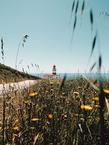 Preview wallpaper lighthouse, building, flowers, wildflowers