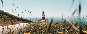 Preview wallpaper lighthouse, building, flowers, wildflowers