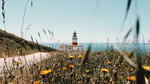 Preview wallpaper lighthouse, building, flowers, wildflowers