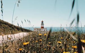 Preview wallpaper lighthouse, building, flowers, wildflowers
