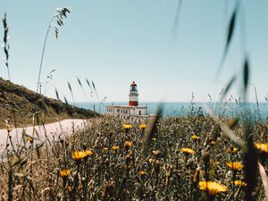 Preview wallpaper lighthouse, building, flowers, wildflowers