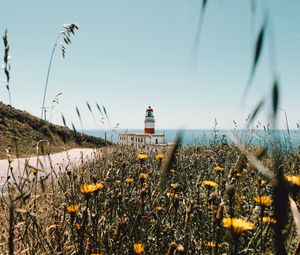 Preview wallpaper lighthouse, building, flowers, wildflowers