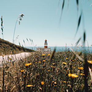 Preview wallpaper lighthouse, building, flowers, wildflowers