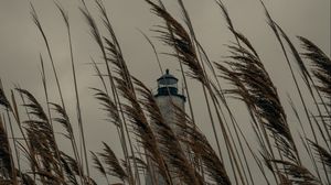 Preview wallpaper lighthouse, building, reed, grass