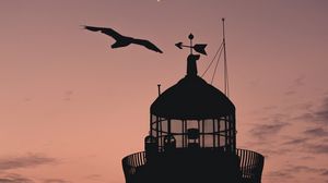 Preview wallpaper lighthouse, building, sunset, bird, silhouette