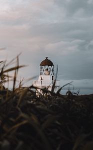 Preview wallpaper lighthouse, grasses, building, coast