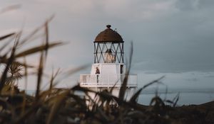 Preview wallpaper lighthouse, grasses, building, coast
