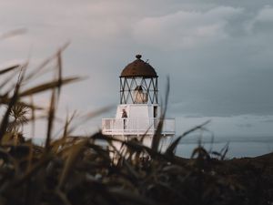 Preview wallpaper lighthouse, grasses, building, coast