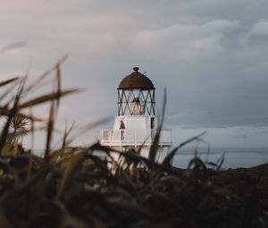 Preview wallpaper lighthouse, grasses, building, coast