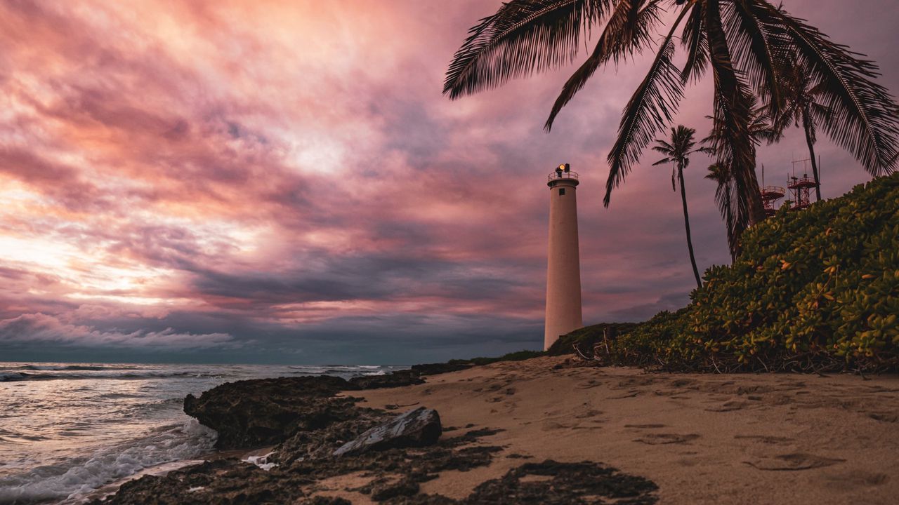 Wallpaper lighthouse, palm tree, beach, sea, shore