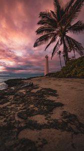 Preview wallpaper lighthouse, palm tree, beach, sea, shore