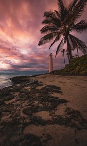 Preview wallpaper lighthouse, palm tree, beach, sea, shore