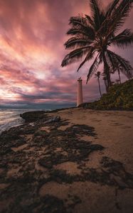 Preview wallpaper lighthouse, palm tree, beach, sea, shore