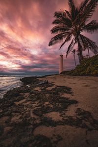 Preview wallpaper lighthouse, palm tree, beach, sea, shore