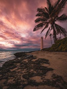 Preview wallpaper lighthouse, palm tree, beach, sea, shore