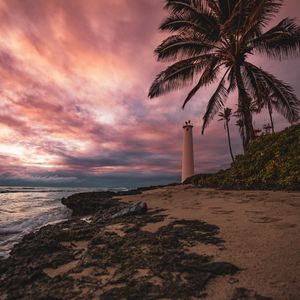 Preview wallpaper lighthouse, palm tree, beach, sea, shore