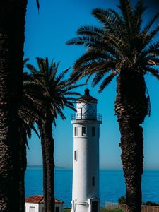 Preview wallpaper lighthouse, palm trees, sea, building, architecture, coast