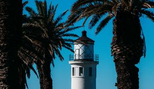 Preview wallpaper lighthouse, palm trees, sea, building, architecture, coast