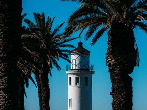 Preview wallpaper lighthouse, palm trees, sea, building, architecture, coast