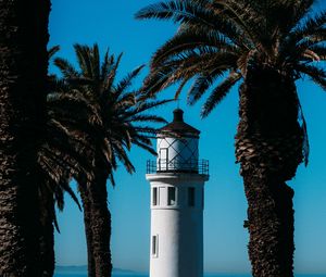 Preview wallpaper lighthouse, palm trees, sea, building, architecture, coast