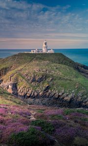 Preview wallpaper lighthouse, relief, flowers, sea