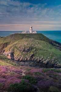 Preview wallpaper lighthouse, relief, flowers, sea