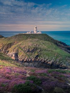 Preview wallpaper lighthouse, relief, flowers, sea